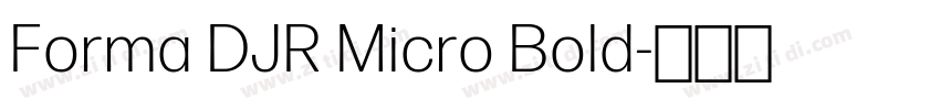Forma DJR Micro Bold字体转换